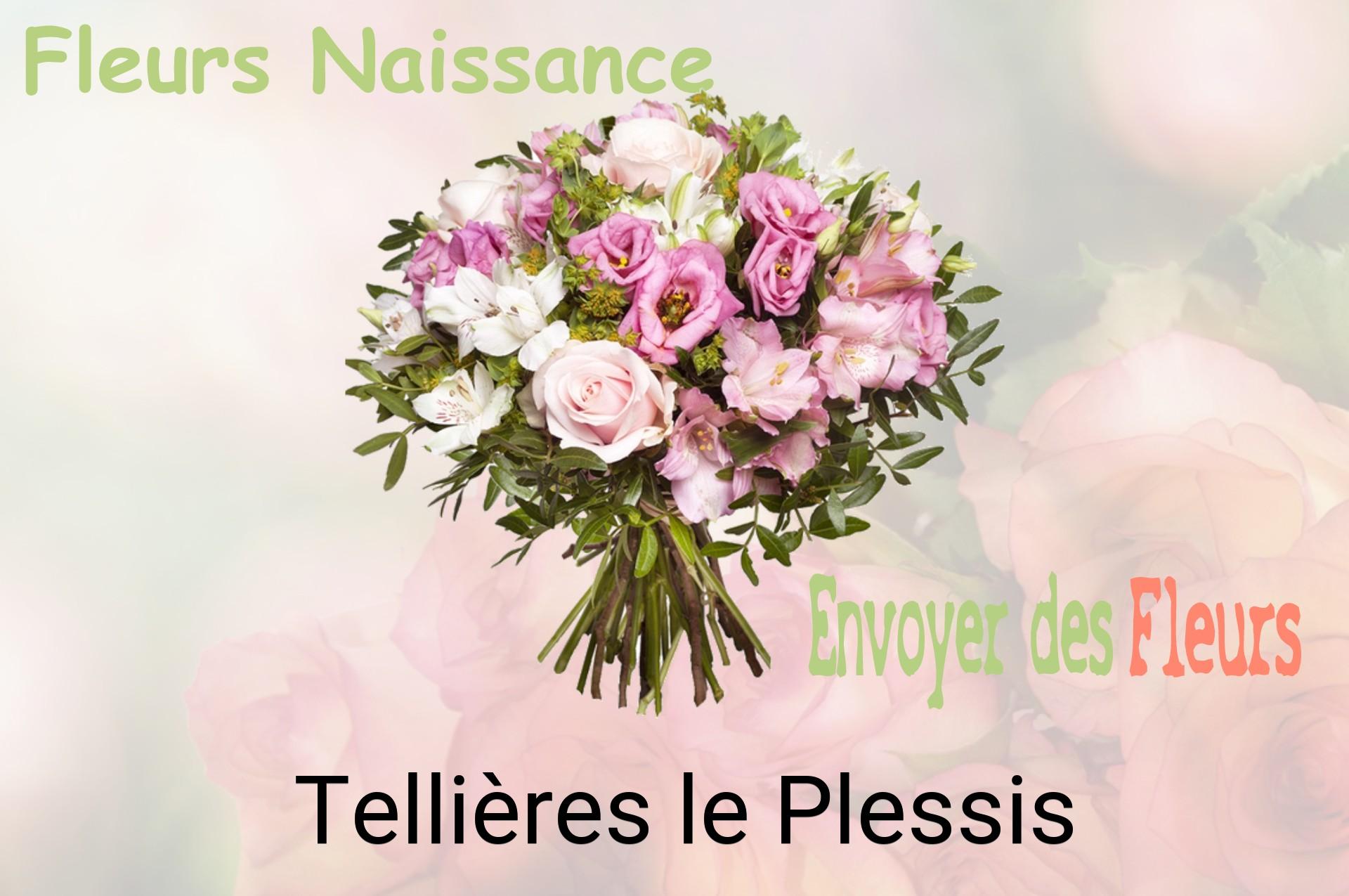 Bouquet de fleurs de naissance livré à Tellières-le-Plessis